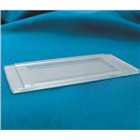 賽吉計數筐(Sedgwick-Rafter Counting Chamber)